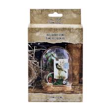 Image result for Dialium holtzii