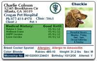 Our cat and kitten insurance. Pet Health Id Cards Harrisburg Veterinarian Harrisburg Veterinary Clinic
