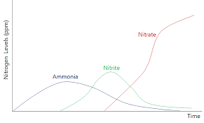 nitrite an important ion project feed 1010