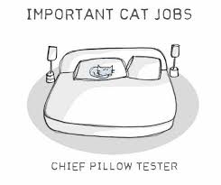 Pin By D Wempen On Costura Sewing Cats Cat Owners Crazy Cats