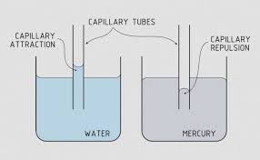 Fluida, baik zat cair maupun zat gas yang jenisnya berbeda memiliki tingkat kekentalan. Kapilaritas Pengertian Manfaat Rumus Contoh Soalnya