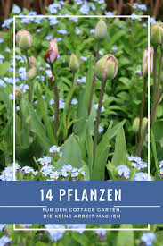 14 Lieblinge Die Einen Cottage Garten Zaubern Ohne Arbeit Garten Pflanzen Cottage Garten