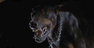 Don T Bite The Hand That Feeds You Gif Https Encrypted Tbn0 Gstatic Com Images Q Tbn 3aand9gcqdk6jqeemetgvfvk1i6okhbgtattqocfjkfg Usqp Cau