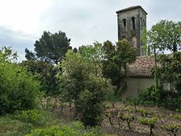 Beaumes De Venise Wine Tour Tours Walking Tour