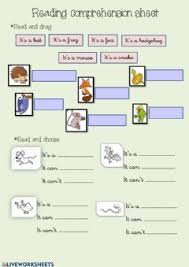 Wild Animals Language English Grade Level Grade 2 School Subject English As A Second In 2020 Flashcards For Kids Learning English For Kids Teaching English Grammar