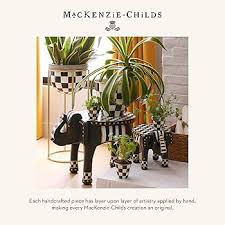 Image result for Walleria mackenziei