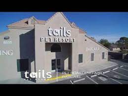 Maybe you would like to learn more about one of these? Tails Pet Resort Youtube