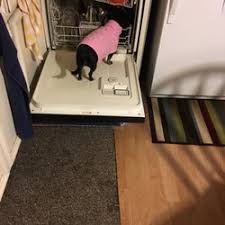 I just need someone to take my dogs out to go potty while my fiance and i are at work. Animal Shelters In Post Falls Yelp