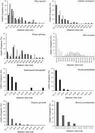 Image result for Xymalos