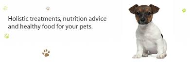 Help your pet stay in good health with care from our animal hospital in st. Bay Pines Veterinarian Hospital Home