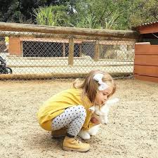 The party also will have some fun games which it way more interesting to do. Swan Valley Cuddly Animal Farm Party Lane