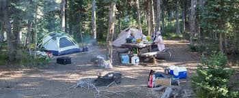 Explore as a young scientist. Lewis Lake Campground Yellowstone National Park U S National Park Service