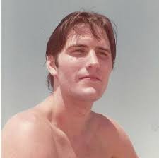 Contributions to the tribute of Daniel Martin Brown