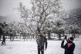 Rental pura nieve cordoba promos temporada 2019 ! H D2onrgpq8mom