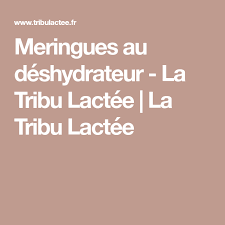 Meringues Au Deshydrateur La Tribu Lactee La Tribu Lactee Deshydrateur Meringue Recette Legere