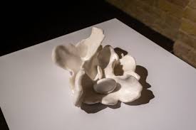 Bildergebnis für Alina Kopytsa