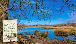 Wanderungen Fur Die Seele Munsterland Munster Munsterlander Wanderung