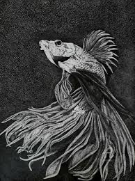 Check spelling or type a new query. Betta Fish Drawing By Nando Poluakan Artmajeur