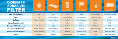 choosing an aquarium filter visual ly