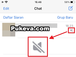 Cara Mengatasi Notifikasi WhatsApp di iPhone Tidak Muncul & Bunyi | PUKEVA