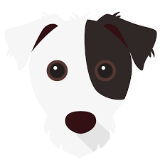 They will make the perfect gift for the dog lovers in your life or simply a treat for your own home. Personalised Jack Russell Terrier Cushions Yappy Com