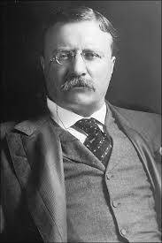 Arena Teddy Roosevelt