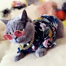 Looking for an epic hawaiian shirt to make sure you dominate casual friday's in the office? Hawaiian Shirt Kitty Lovers Club