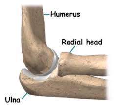 The olecranon is a large bony prominence at the proximal end of the ulna. Elbow Fracture Olecranon Radial Head Distal Humerus
