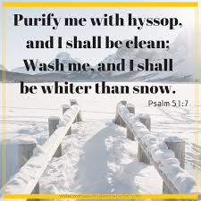 White In The Bible Purity Righteousness And God S Love White In The Bible Bible Facts Gods Love Bible