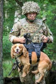 soldier and dog from 102 military working dogs mwd squadron 1st military working dog regiment military working dogs working dogs service dogs