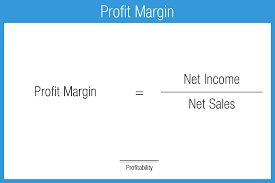 Net Profit Margin Accounting Play Learn Accounting Small Business Bookkeeping Accounting And Finance