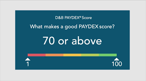 D B Paydex Score