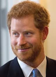 Real Property Basics: Medicaid, Taxes, and Probate-- CONT.