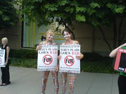 Image result for peta protests