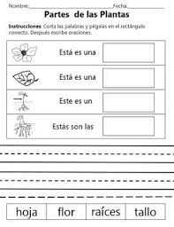 Pin On Science Activities Dual Language