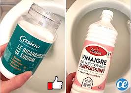 5 Astuces Incroyables Pour Enlever Le Tartre Incruste Dans Les Wc En 2020 Recettes De Nettoyage Enlever Le Calcaire Detartrer