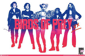 Birds Of Prey Cw 2020 Pin On Cool Shit
