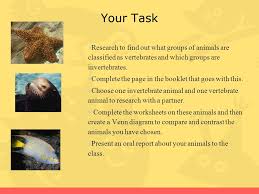Work sheet on introduction to inverta brate : 3rd Grade Webquest By Kyle Sauer Ppt Video Online Download