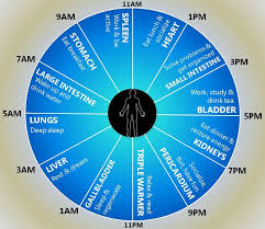 this is how you should really plan your day health