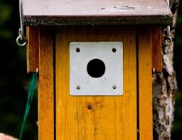 Best Dimensions For Birdhouse Entrance Holes