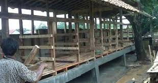 Kandang kambing yang sehat memenuhi standar kesehatan. Pin Oleh Noor Isnaini Di Kandang Kandang Ayam Desain Kandang Ayam Desain