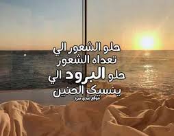 شعر عن البرود ليدي بيرد