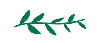 Download wonder woman transparent png logos. Women Supporting Women Starbucks Celebrates Women S History Month Starbucks Stories