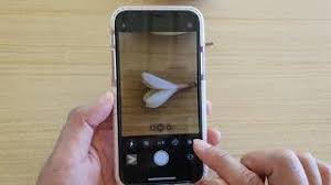 From a visual appeal, this is a twin of the iphone! How To Turn The Flash On Iphone 11 Simple Guide Continental Camera