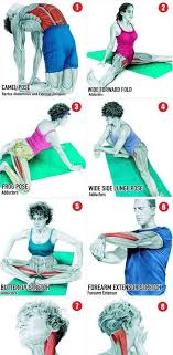 36 Pictures To See Which Muscle You Re Stretching Http Itz My Com Fit Girl Motivation Muscle Stretches Yoga Fitness