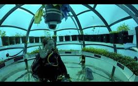 Pin On Offbeat Stories