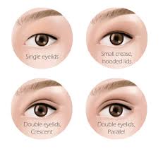 They are reservoirs of fatty tissue. Aside From Cats What Other Kinds Of Animals Have Third Eyelids Quora