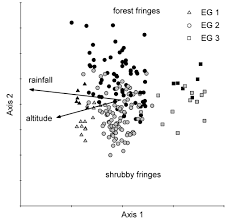 Image result for Clappertonia polyandra