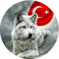 Ulkucu Duvar Kagitlari Bozkurt Apk Latest Version 2 Download Now