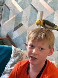 Looking for someone who hand raises birds